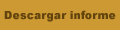 descargar informe tecnico